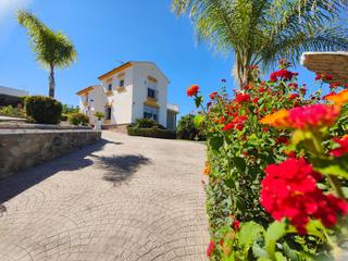 Xalet a Manantiales - Lagar - Cortijo. Finca rodeada de frutales a un paso de la carretera en alahurin
