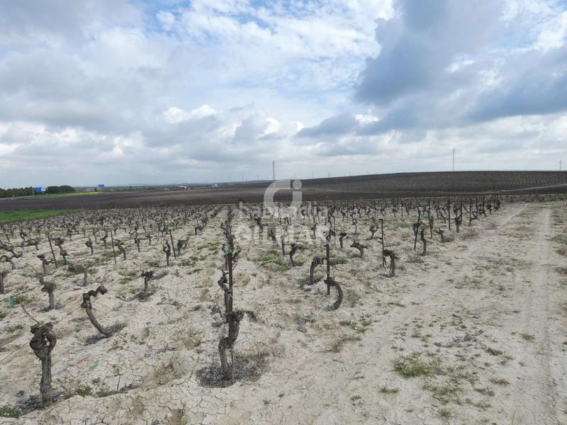 Foto 0ca0b43a-2528-4bd3-964f-1c96d54f54ad. Fondo rustico in Ctra Jerez-Ctra del Puerto Sanlúcar de Barrameda