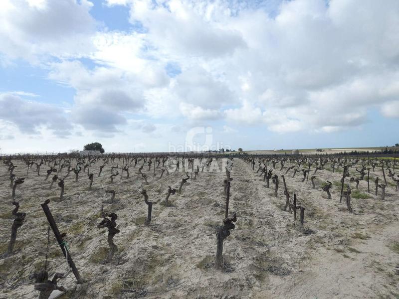 Foto 135b0ade-fe64-4520-b753-8c938de3ccc7. Fondo rustico in Ctra Jerez-Ctra del Puerto Sanlúcar de Barrameda