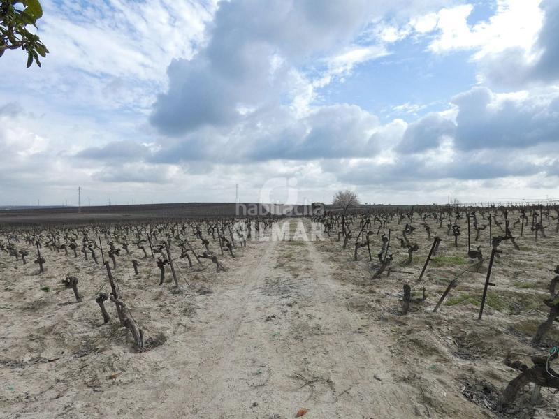 Foto 95f7551a-fae1-4619-a347-9d133e3d1987. Fondo rustico in Ctra Jerez-Ctra del Puerto Sanlúcar de Barrameda