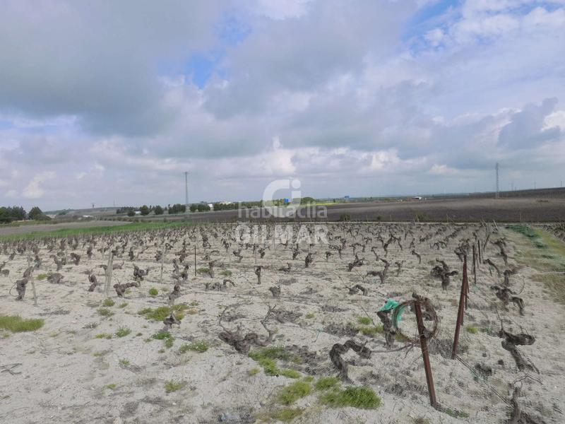 Foto aaf636b3-3b99-4e8b-8138-270de4a0e0d3. Fondo rustico in Ctra Jerez-Ctra del Puerto Sanlúcar de Barrameda