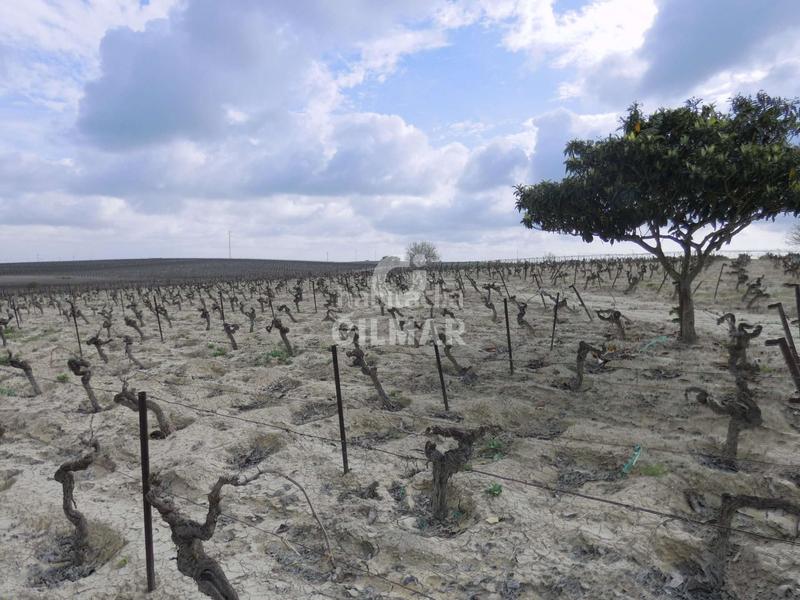 Foto ce037012-8b1e-47f6-9636-14e5e8d76363. Fondo rustico in Ctra Jerez-Ctra del Puerto Sanlúcar de Barrameda