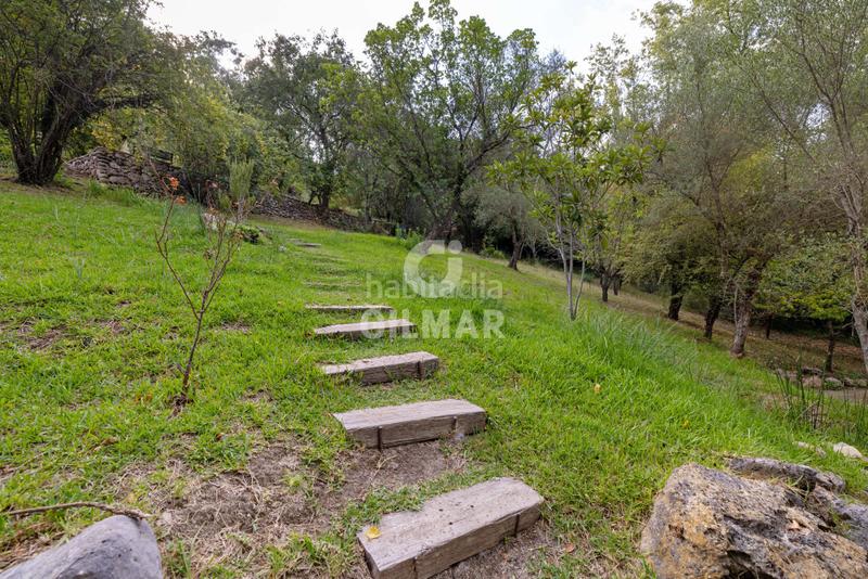 Foto 7f36591a-1511-4a46-bc81-bcbebec1b9f6. Xalet amb calefacció piscina a Grazalema