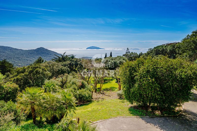 Foto 10dfa052-b15c-443e-a052-bd5c6d515eeb. Xalet amb calefacció a El Cuartón - El Bujeo Tarifa