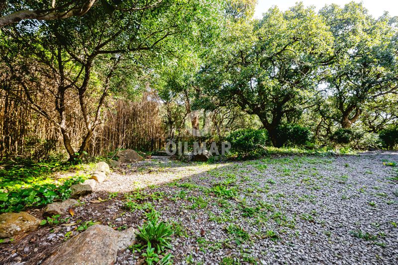 Foto 2b709a7d-744a-4384-8556-d7936f6eb5f8. Xalet amb calefacció a El Cuartón - El Bujeo Tarifa