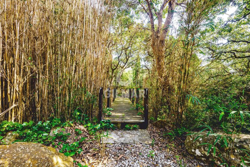 Foto a7ec5f23-d6fd-45ce-8af0-7863c51b3790. Xalet amb calefacció a El Cuartón - El Bujeo Tarifa