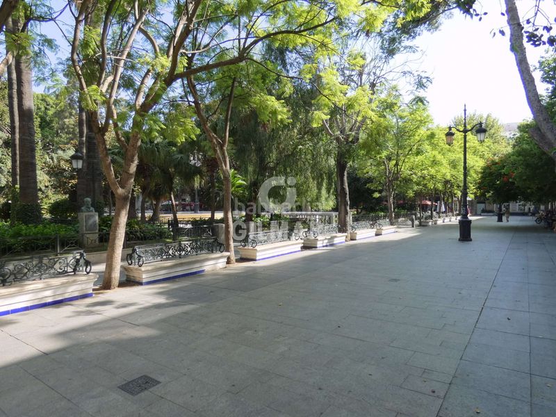 Foto ff4cb447-7321-45aa-a958-a4ea6b94c2ed. Pis amb calefacció a Centro Histórico Cádiz