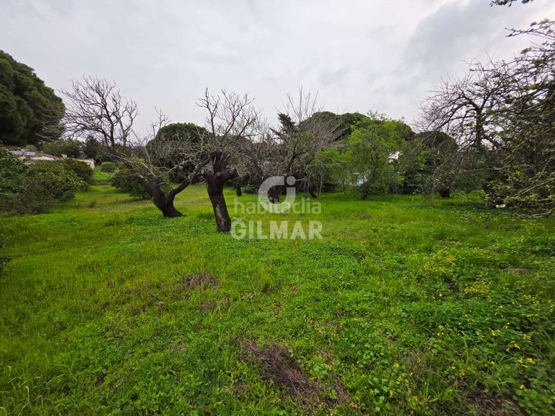 Foto 9ef157bd-65ba-4d74-b0d1-48ba25e1d7fe. Xalet amb aparcament piscina a Los Franceses - La Vega Chiclana de la Frontera