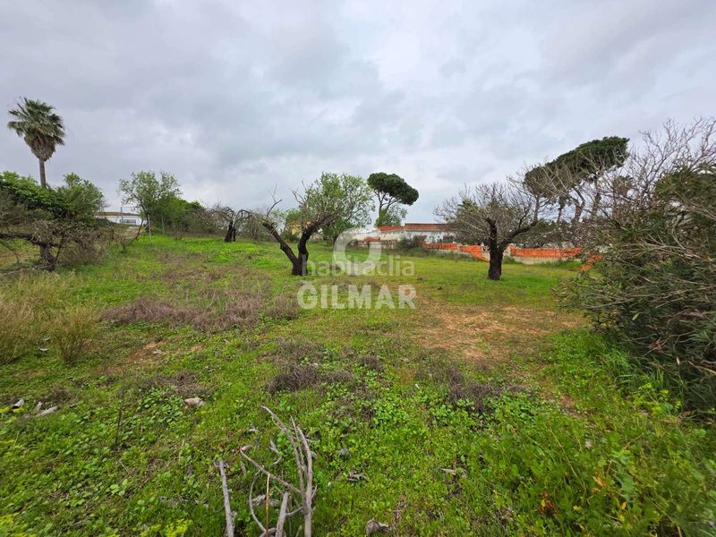Foto c655e957-28dd-40ff-97ae-4f9ae69a0ac5. Xalet amb aparcament piscina a Los Franceses - La Vega Chiclana de la Frontera
