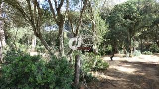 Finca rústica a La Muela. Gilmar cádiz 956928989. solar cercano a la playa