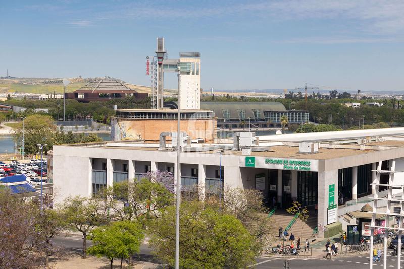 Foto 6e7e9dc0-96a1-45a4-a4d4-ed786e3ab6b0. Pis a Arenal - Museo Sevilla