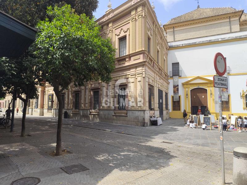 Foto 25520671-7f81-462b-b1f6-bf3629d50a0b. Miete etagenwohnung mit heizung in Arenal - Museo Sevilla