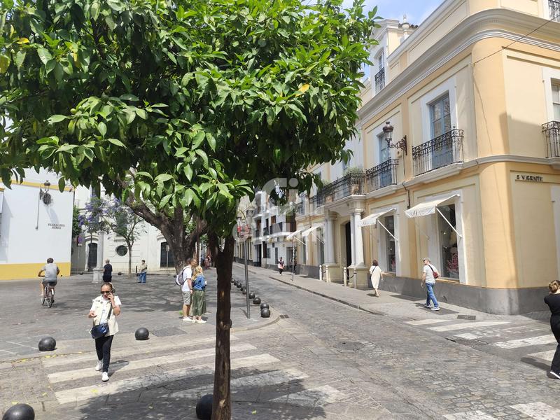 Foto abe1a49a-7931-4b52-8263-7b462e0e94a7. Miete etagenwohnung mit heizung in Arenal - Museo Sevilla