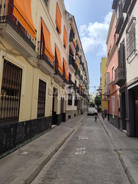 Foto fa3e5e6b-7fc3-4df0-aa21-11e7bc0df316. Miete etagenwohnung mit heizung in Arenal - Museo Sevilla