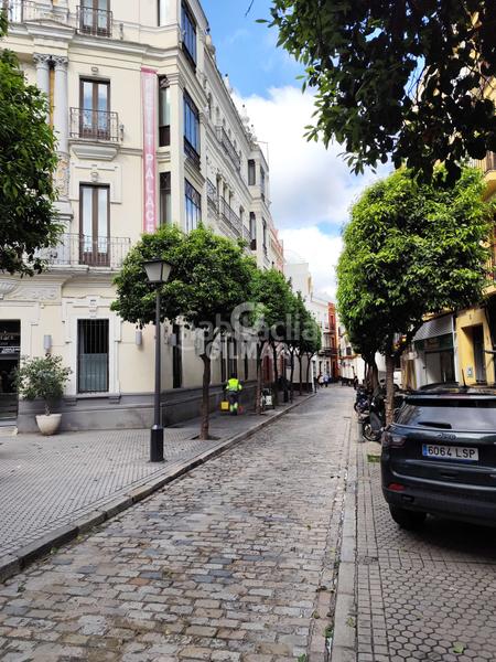 Foto 2549c3a0-61ba-493c-b008-720bfb700cd1. Affitto ufficio in Arenal - Museo Sevilla