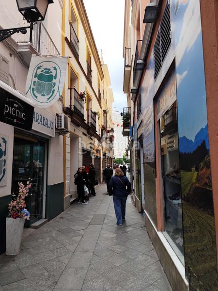 Foto 8d09132b-f0e2-41aa-9d3e-a3a38c0c7f42. Affitto ufficio in Arenal - Museo Sevilla