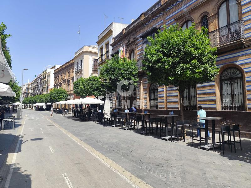 Foto a57441f2-0047-4b1f-8584-c4f818fe38f6. Lloguer pis amb calefacció aparcament a Triana Casco Antiguo Sevilla