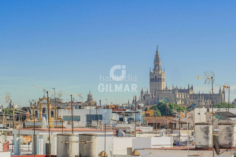 Foto 44bb06d8-d99c-45f9-b335-0c30b736b117. Àtic amb calefacció aparcament piscina a Triana Este Sevilla