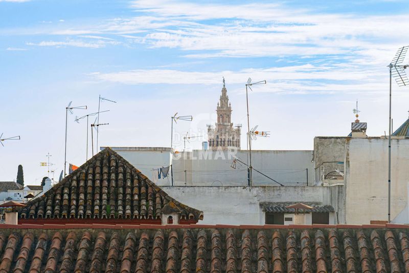 Foto b001f629-8364-4a87-a00d-3709643b5ebf. Dúplex amb calefacció aparcament a Santa Catalina Sevilla