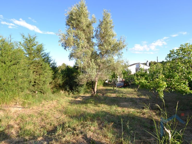 Foto aa7d41ed-a2fc-48e7-be7c-192469313a97. Terreny residencial a Masquefa