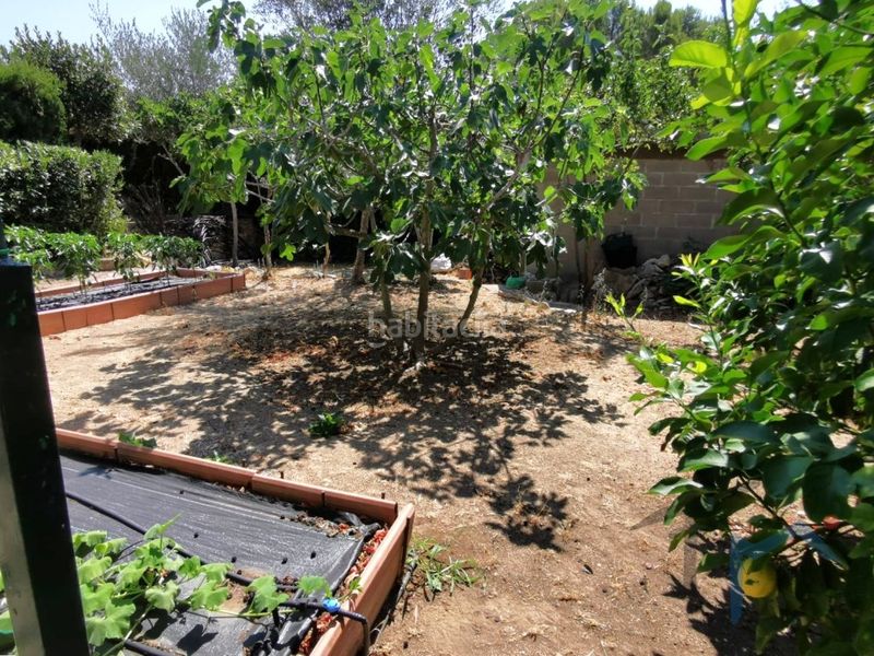 Foto e4ef95b0-9d81-45e4-8b33-8817178a4f7b. Casa a Cabrera d´Anoia