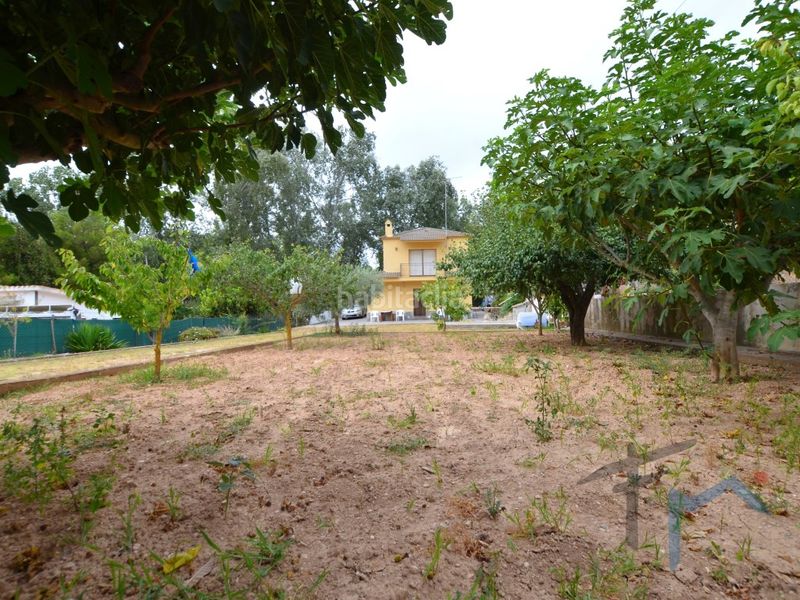 Foto 923b5566-6004-4698-8cb9-4aac66165cf8. Casa a Piera