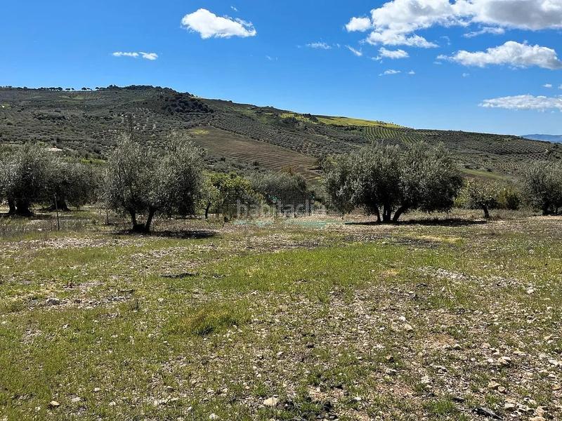 Foto 16c1ff31-2e31-4fc3-8f8d-54c46d0f39c7. Terreno residenziale in Periana