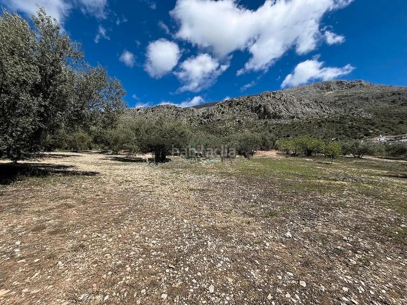 Foto 54b3ba3d-bb81-48e9-882b-2acd61d7240d. Terreno residenziale in Periana