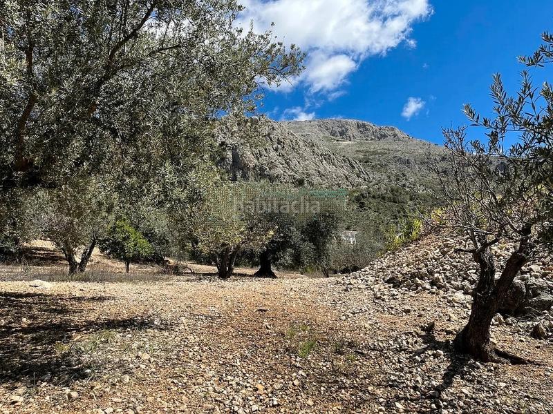 Foto 5c1497c2-95f8-4878-8648-956751ace667. Terreno residenziale in Periana