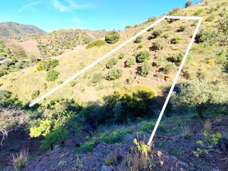Rural plot  N/a. Terreno secano con olivos en el pueblo de arenas (málaga)