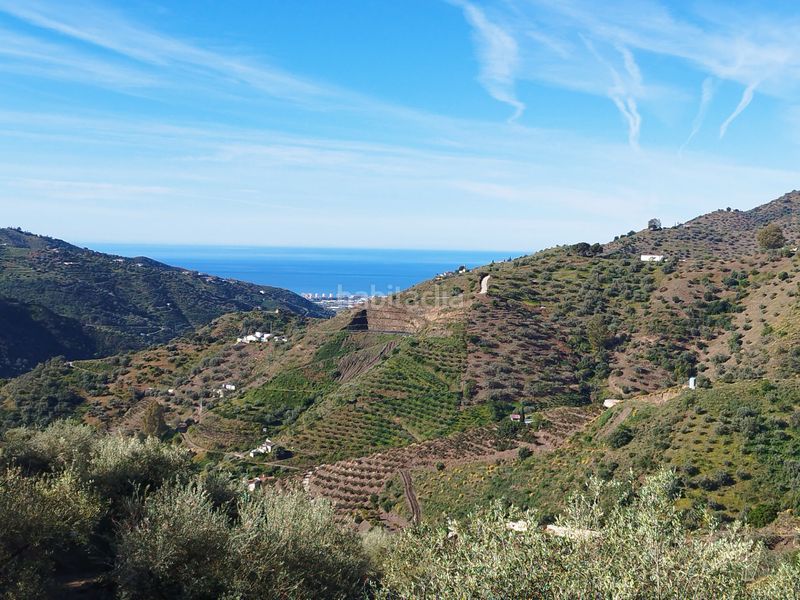 Foto cbb4ce75-87e7-4804-b57f-5ca93b8fa796. Finca rústica a n/a a Arenas