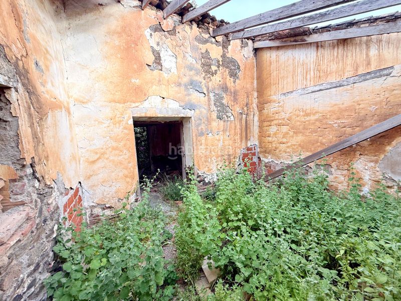 Foto 1e1d5d95-c666-4b79-b643-1d31a76b1c19. Finca rústica a Camino Algarrobo - Las Arenas Vélez - Málaga