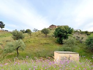 Finca rústica a Carretera de Arenas