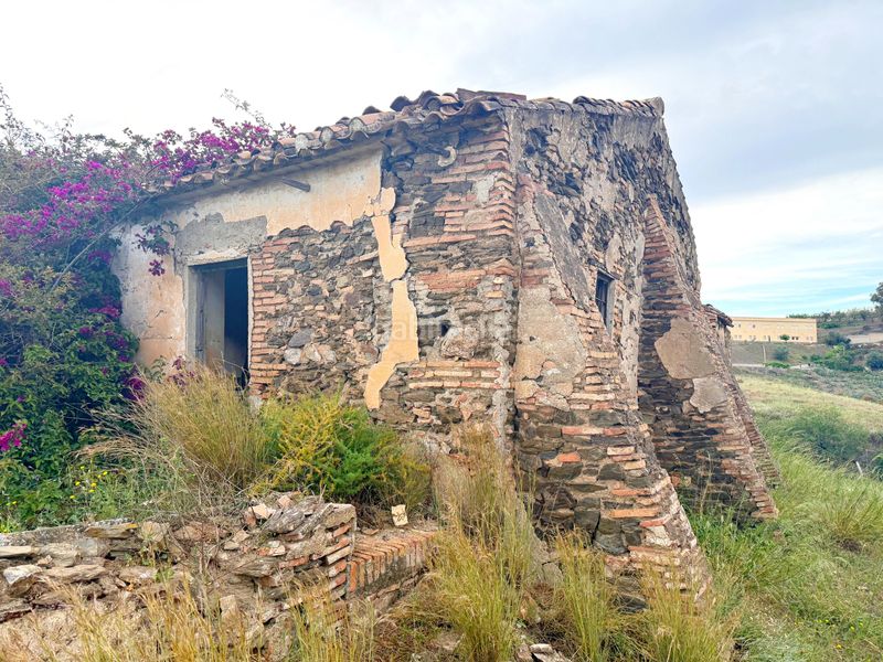Foto cfb01a9d-a13a-49c6-be8b-168465a23701. Finca rústica a Camino Algarrobo - Las Arenas Vélez - Málaga