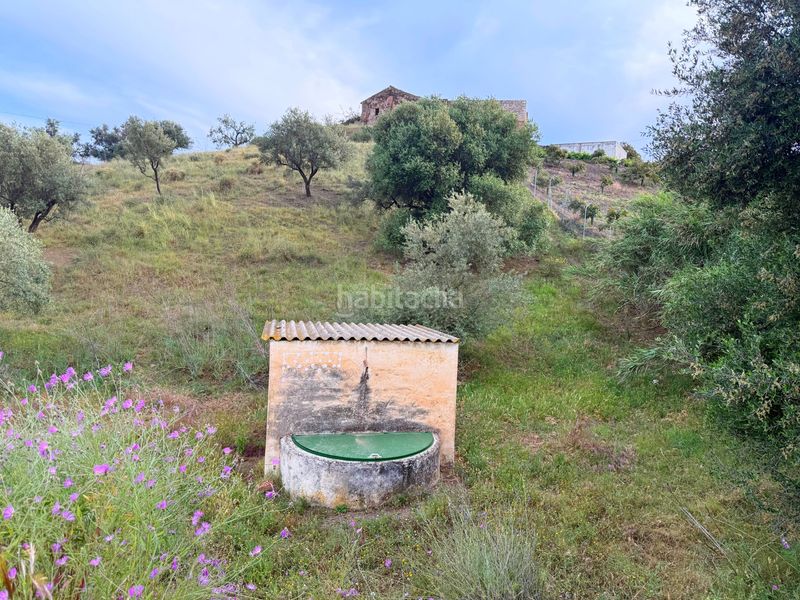 Foto fe5866dd-3e34-4ed3-a3cc-a35688c376ca. Finca rústica a Camino Algarrobo - Las Arenas Vélez - Málaga