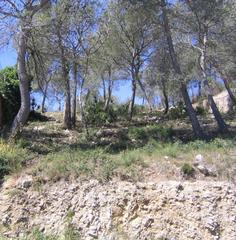 Terrain résidentiel à Canyelles. Terreno en urbanización las palmeras