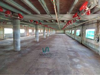 Nave industrial en Poal (El). Oportunidad, negocio avicola
