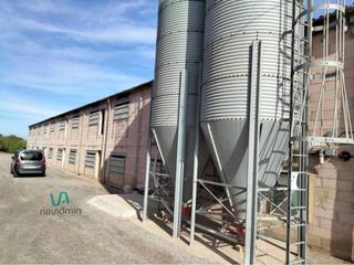 Nave industrial  Carrer camí estació. Oportunidad, negocio avicola