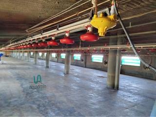 Nau industrial  Carrer cam estaci. Oportunidad, negocio avicola