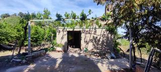 Finca rústica a Carrer d'extramurs 37. Finca rústica situada a las afueras del pueblo de tivissa con 14