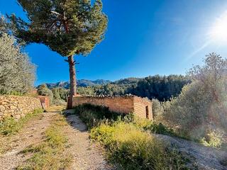 Finca rústica  N/a. Terreno en venta en el poligono 77, 195 tivissa