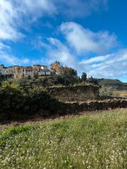 Finca rústica a Pujada de l'empedrat 20. Huerto con vistas al pueblo