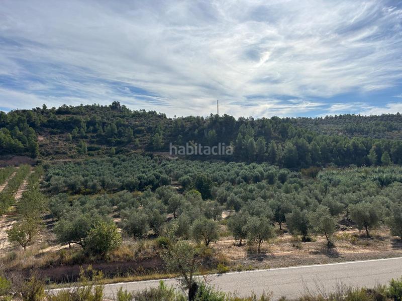 Foto 2e4773e7-bba3-4a95-aaff-9a7b917a55f1. Finca rústica se venden conjuntamente dos fincas agrícolas situadas en bobera y granadella en Bovera