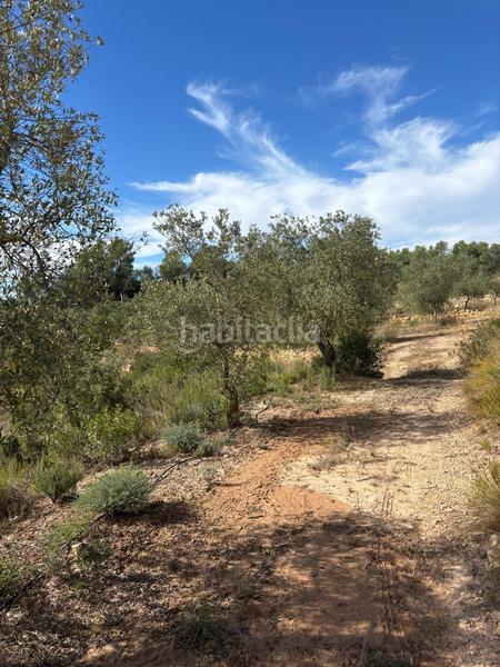 Foto ff5cf8b6-4c97-47e2-af11-28e32dfdfb96. Finca rústica se venden conjuntamente dos fincas agrícolas situadas en bobera y granadella en Bovera