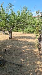 Finca rústica a Valverde de la Vera
