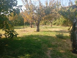 Finca rústica en Valverde de la Vera