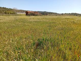 Rural plot in Valverde de la Vera