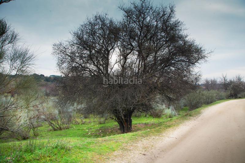 Foto 38367c18-76b8-46e7-b8a4-eb4356893652. Finca rústica a Quijorna