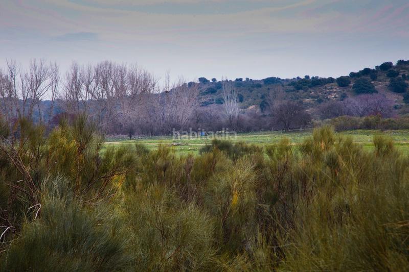 Foto 3ca969d8-78ef-475a-9d21-653763e16858. Finca rústica a Quijorna