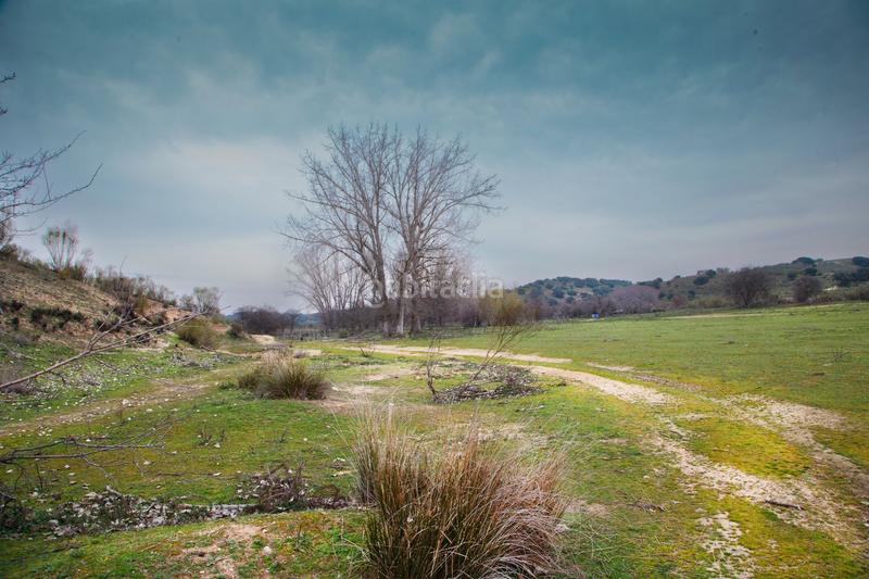 Foto 4714b5c3-f6bd-4a66-9aa4-361d37765e47. Finca rústica a Quijorna